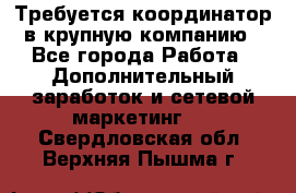 Требуется координатор в крупную компанию - Все города Работа » Дополнительный заработок и сетевой маркетинг   . Свердловская обл.,Верхняя Пышма г.